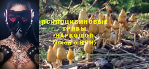 амфетамин Белокуриха
