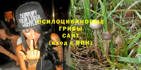 Альфа ПВП Беломорск