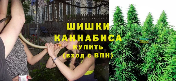 амфетамин Белокуриха