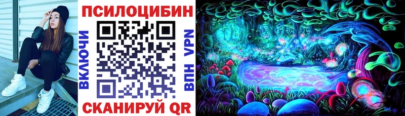 купить наркотик  Костерёво  Псилоцибиновые грибы ЛСД 